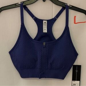 Velocity Royal Blue Sports Bra